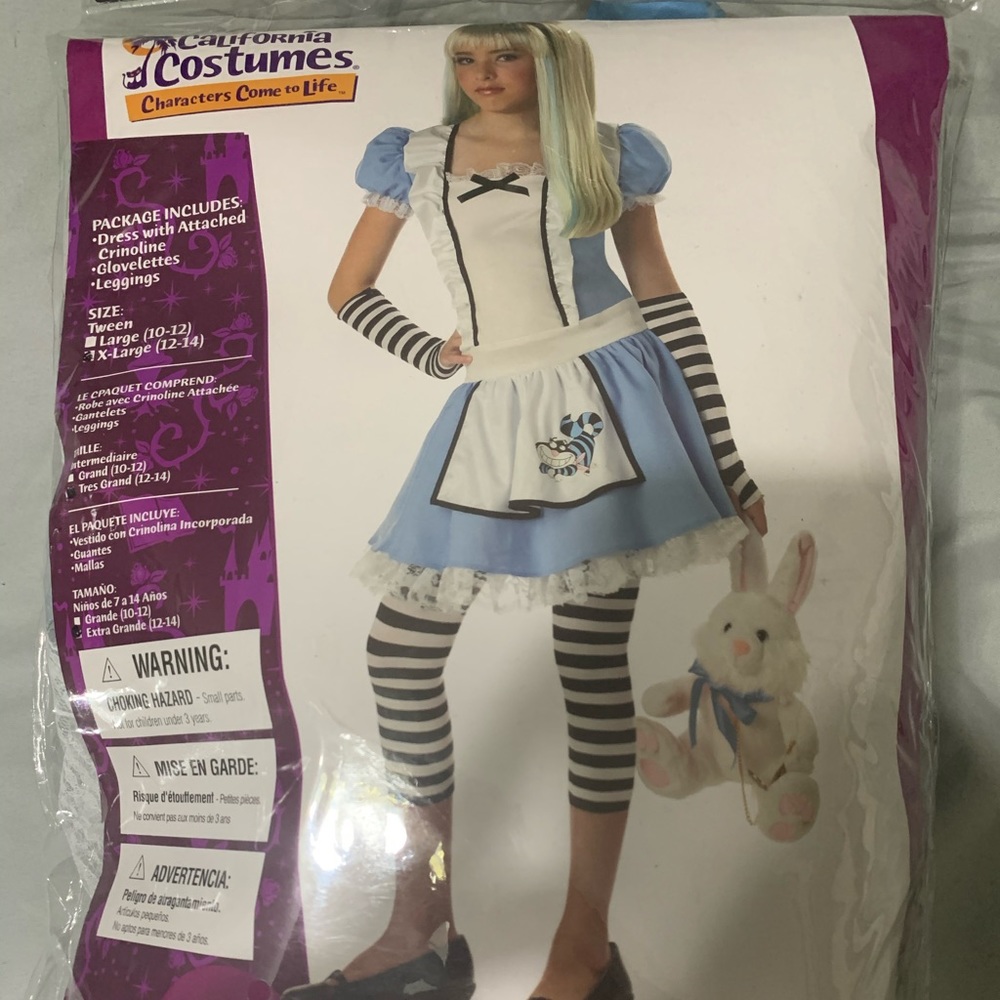 Alice in wonderland costume